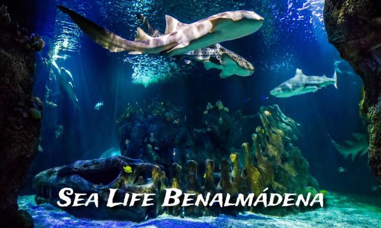 Benalbeach Loft بينالماذينا المظهر الخارجي الصورة
